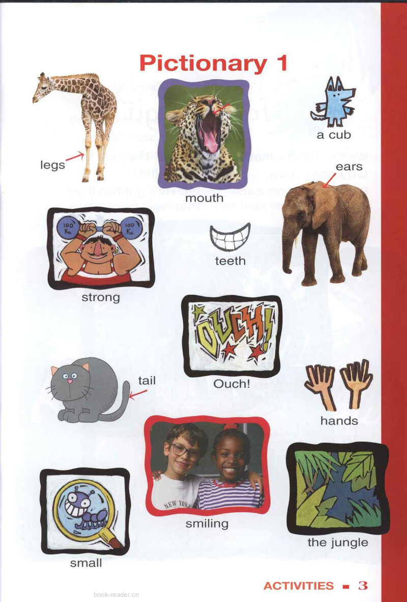 The Jungle Book绘本故事第3页