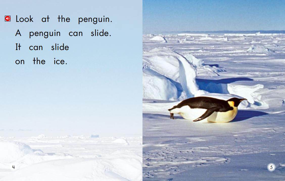 All About Penguins绘本故事第4页
