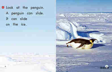 All About Penguins绘本故事第4页
