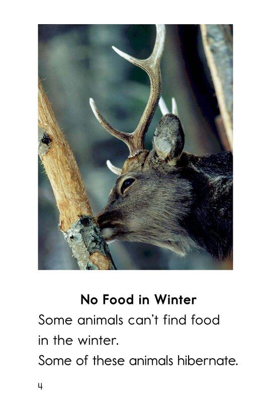 Hibernation绘本故事第3页