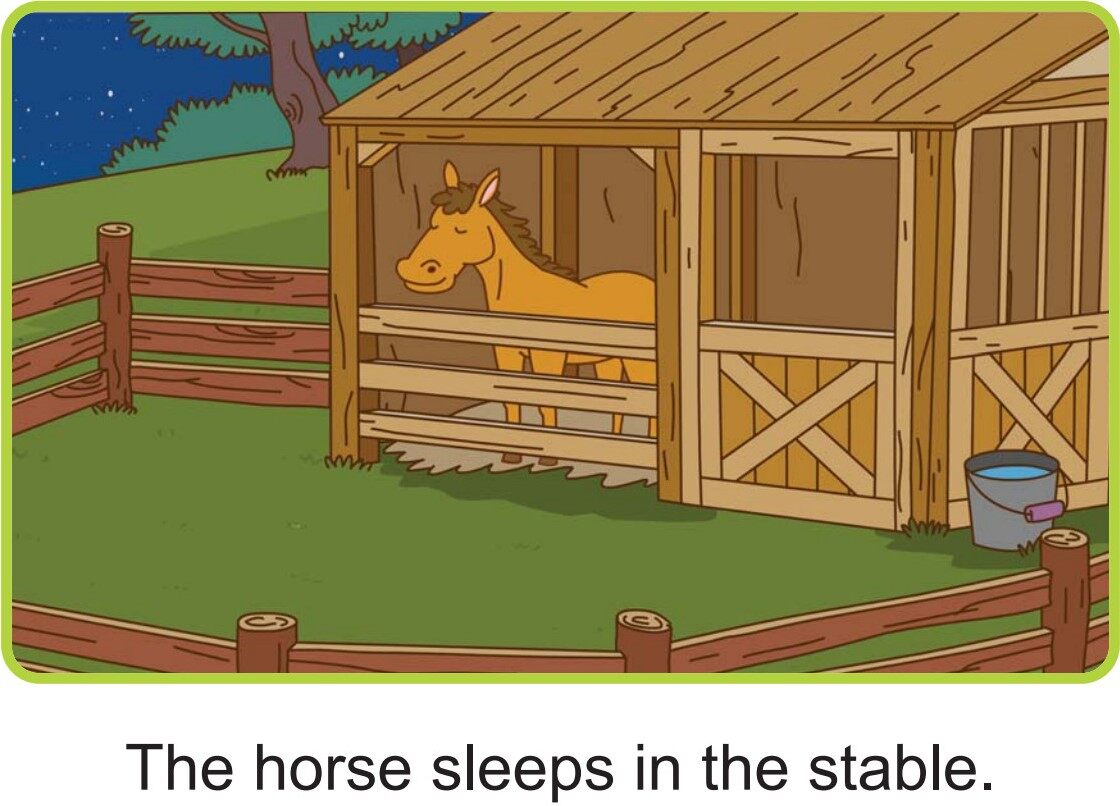 At Night绘本故事第2页