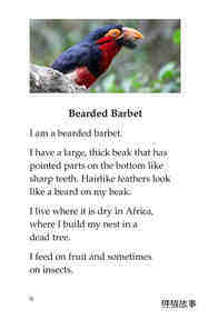 Weird Bird Beaks绘本故事第3页