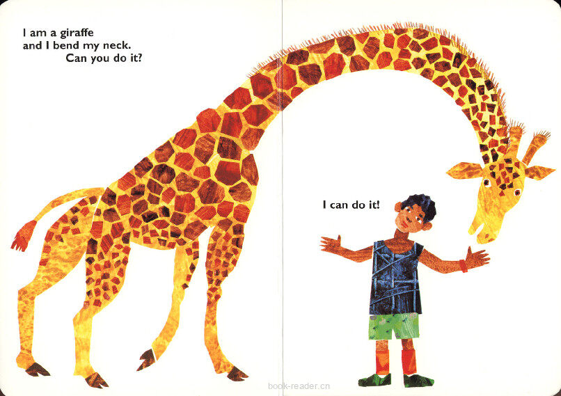 From Head to Toe绘本故事第4页