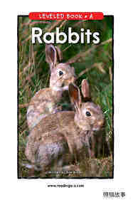 Rabbits