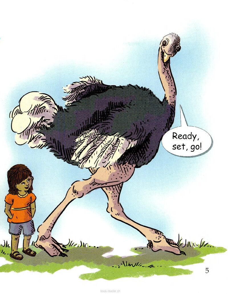 A Bird That Cannot Fly?绘本故事第3页