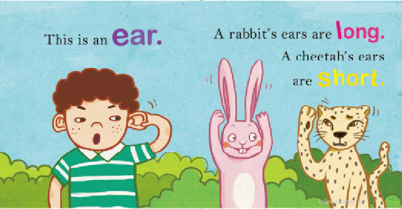 My body绘本故事第5页