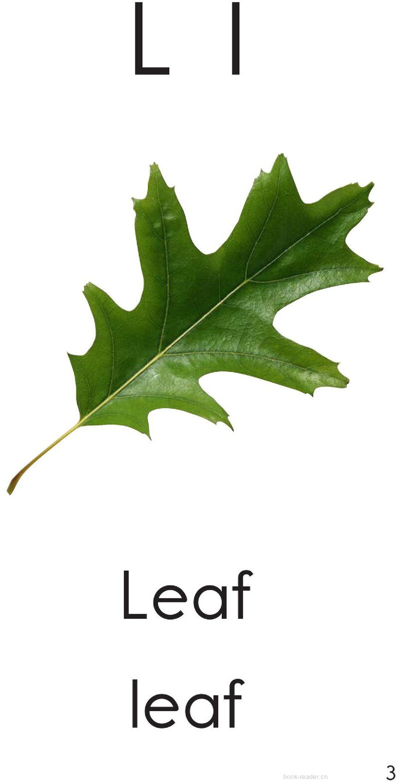 Letter L绘本故事第3页