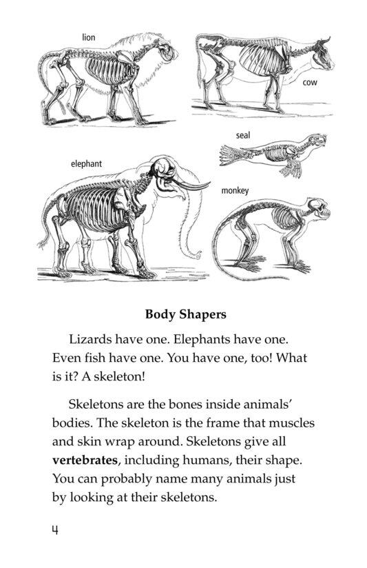 The Hard Stuff! All About Bones绘本故事第3页