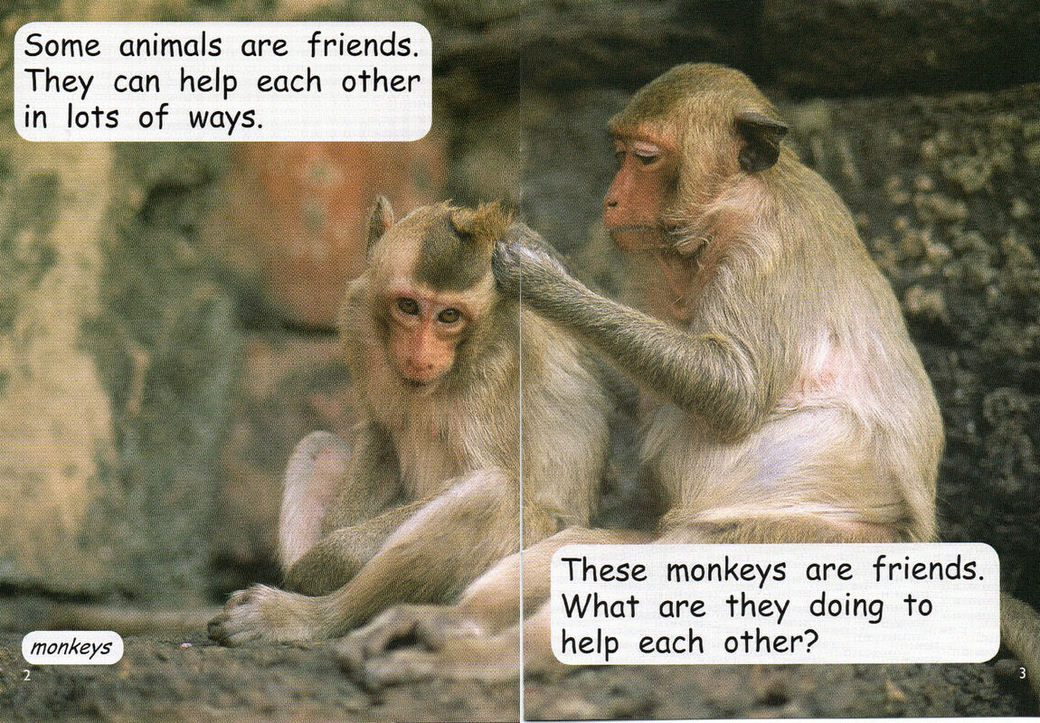 animal friends绘本故事第3页