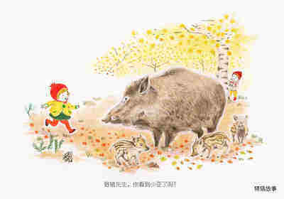 森林里的朋友们绘本故事第4页