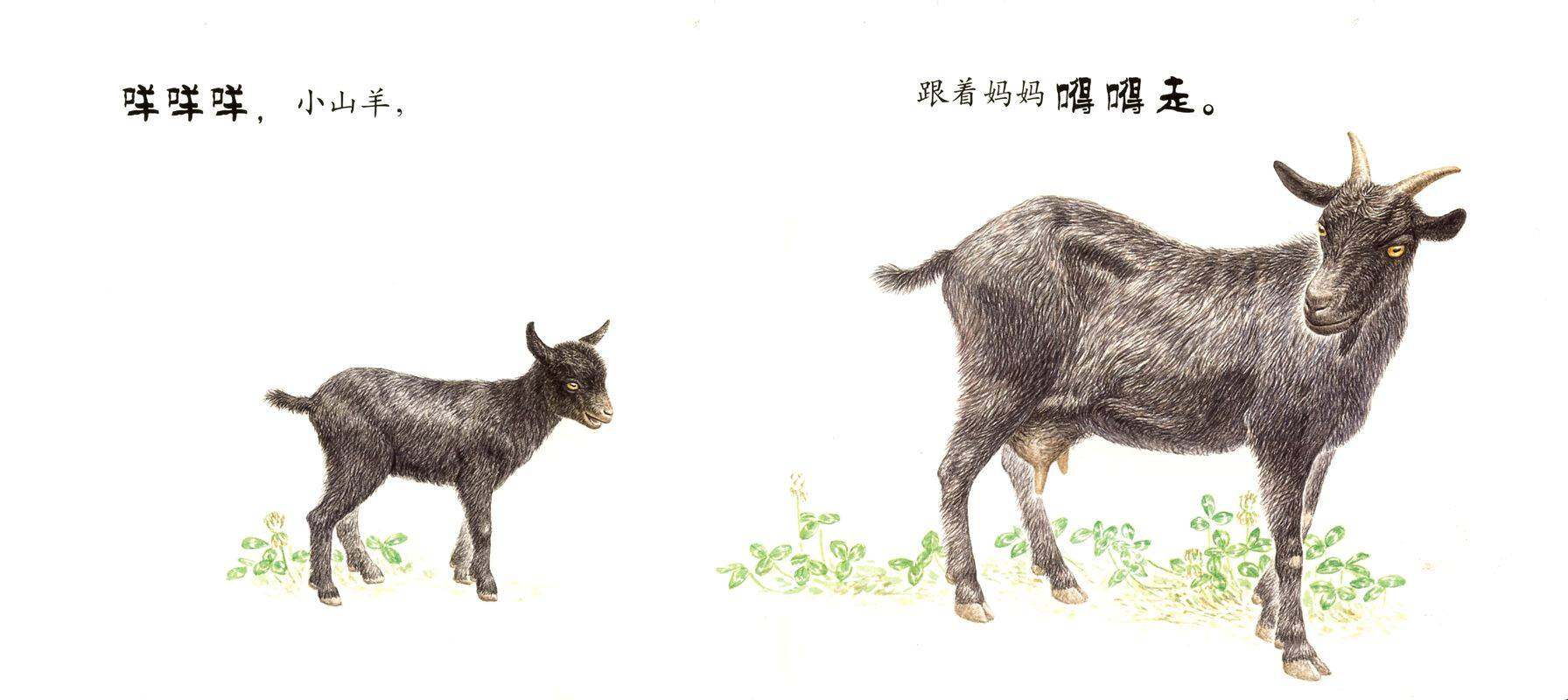 跟着妈妈哒哒走绘本故事第2页