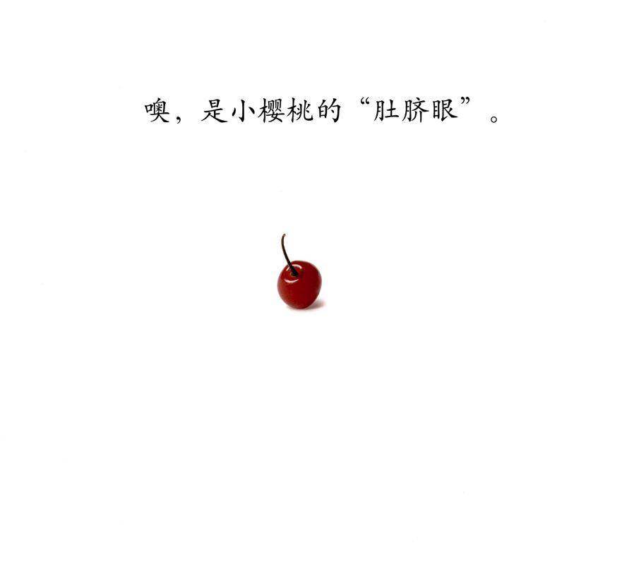 是谁的肚脐眼绘本故事第4页