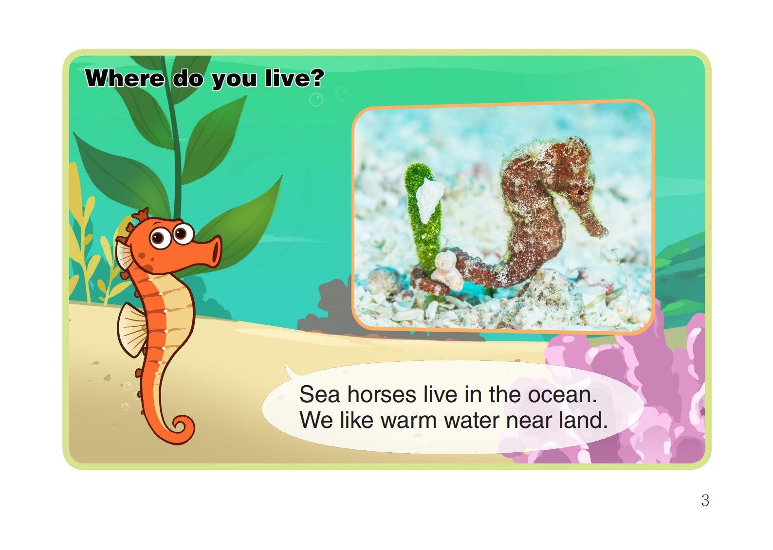 Sea Horse绘本故事第4页