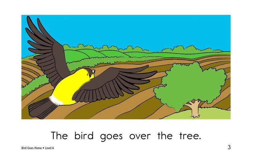 Bird Goes Home绘本故事第3页