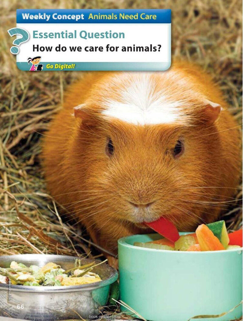 G2 Unit 1 Week 4绘本故事第2页