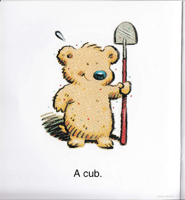 Rub-A-Dub Cub绘本故事第3页