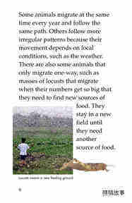 The Magic of Migration绘本故事第5页