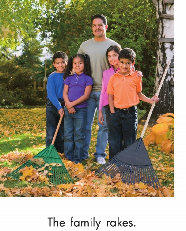 Families绘本故事第5页