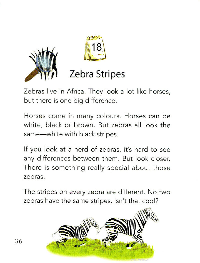 Zebra Stripes绘本故事第2页