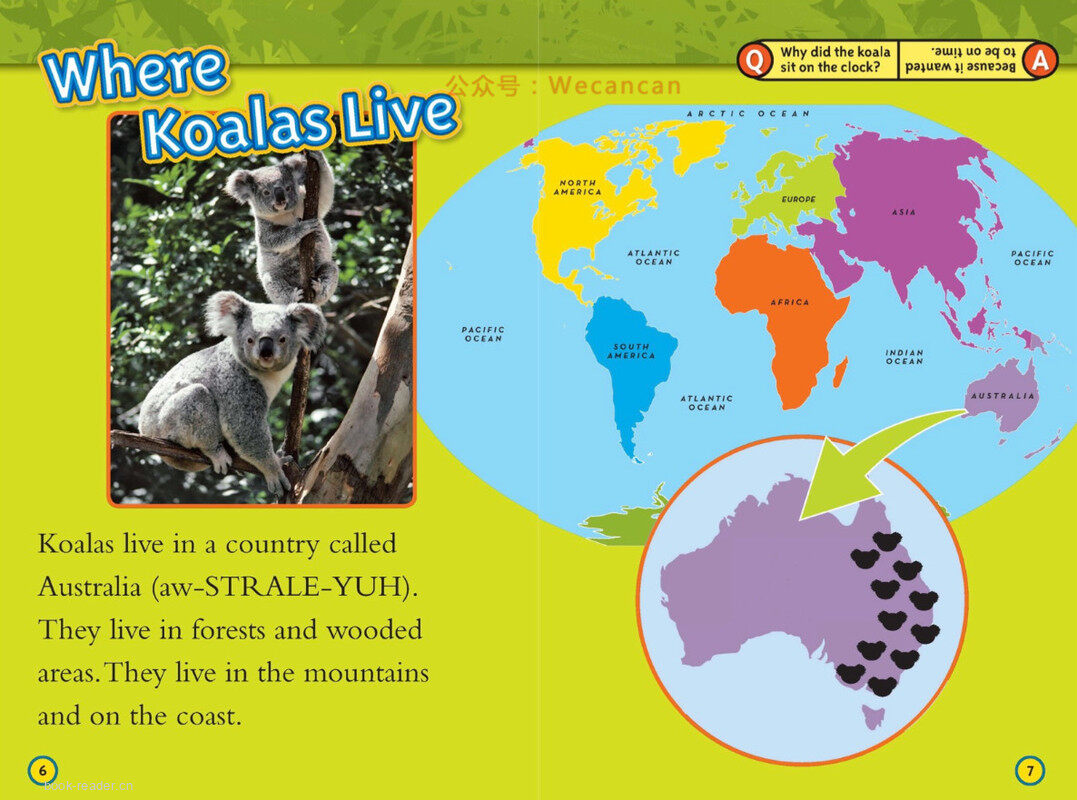 Koalas绘本故事第4页