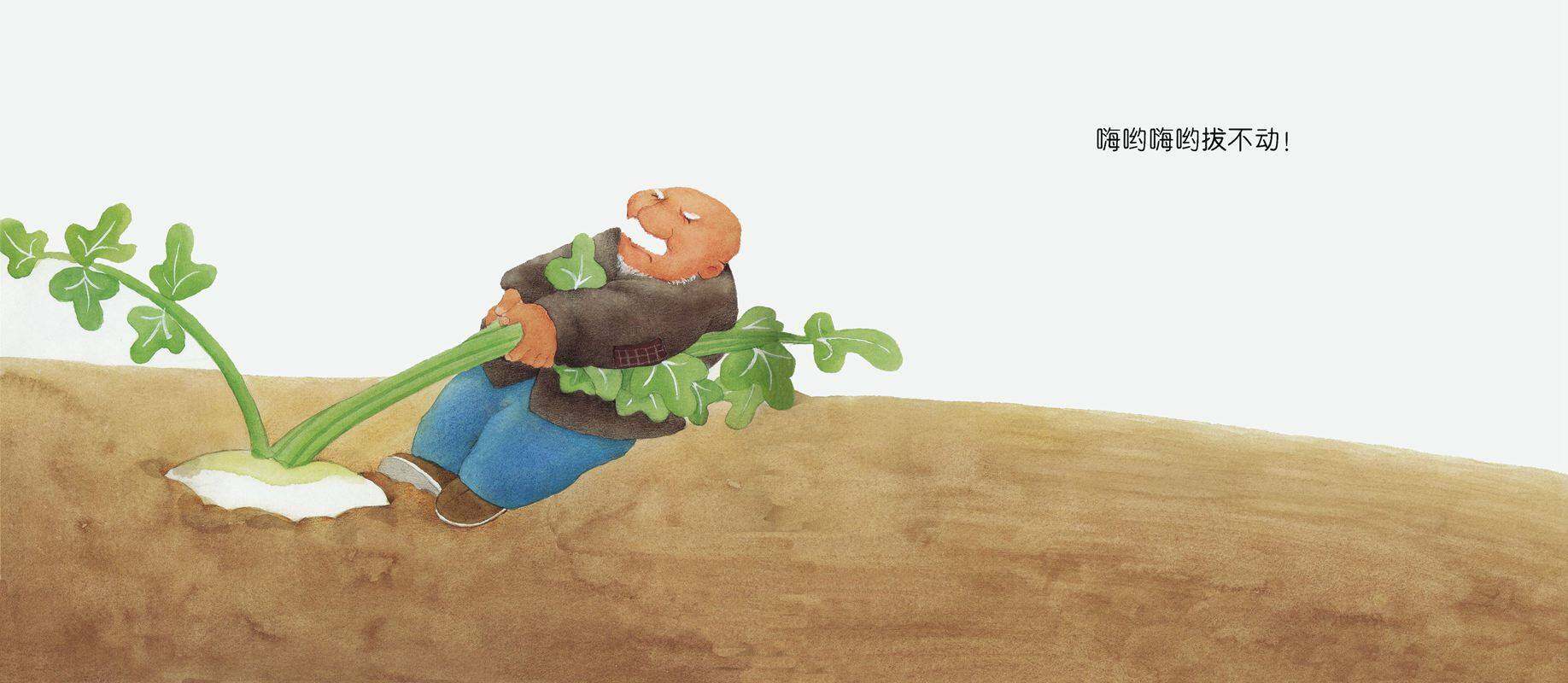 拔呀拔呀拔萝卜绘本故事第3页