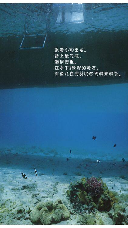 诞生了！小丑鱼绘本故事第4页