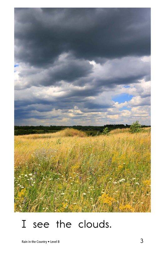 Rain in the Country绘本故事第3页
