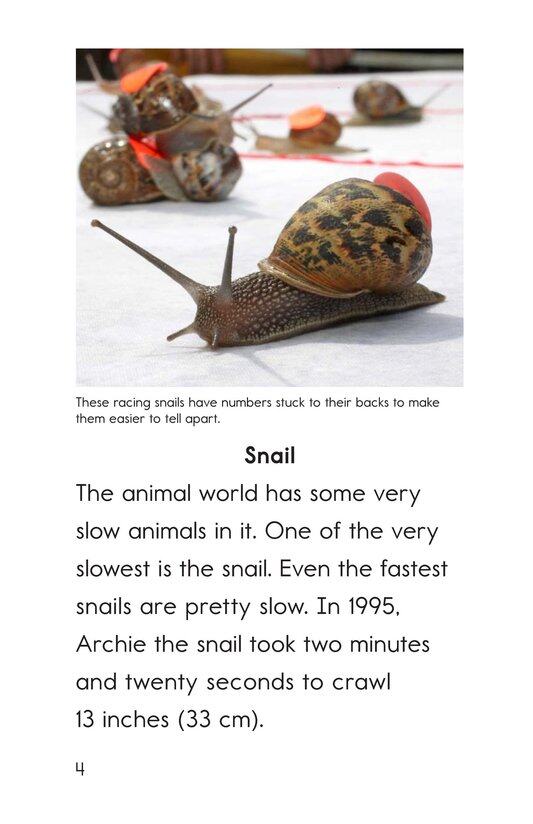 Slow and Slower绘本故事第3页