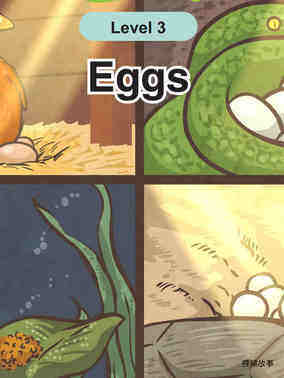 Eggs