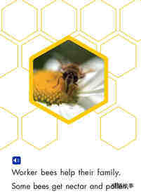 Worker Bees绘本故事第5页
