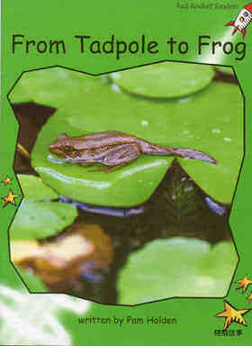 from tadpole to frog
