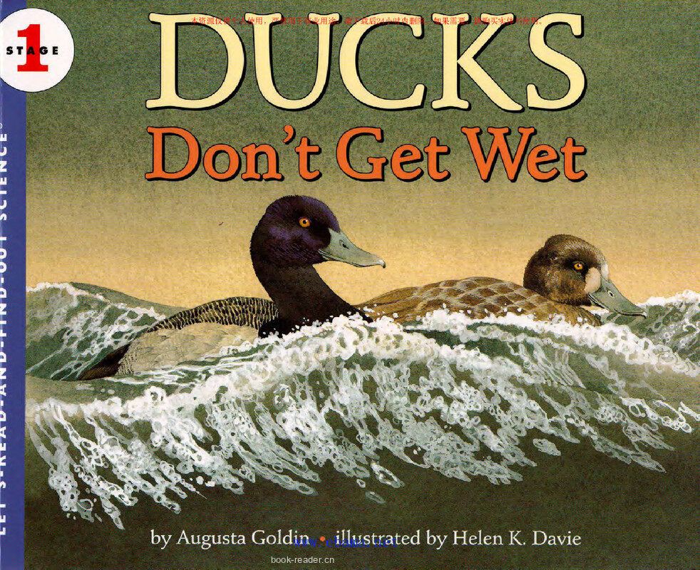 Ducks Do not Get  Wet绘本故事第2页