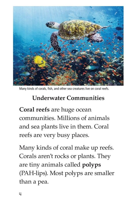 Coral Reefs绘本故事第3页