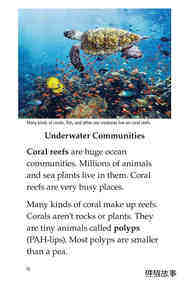 Coral Reefs绘本故事第3页