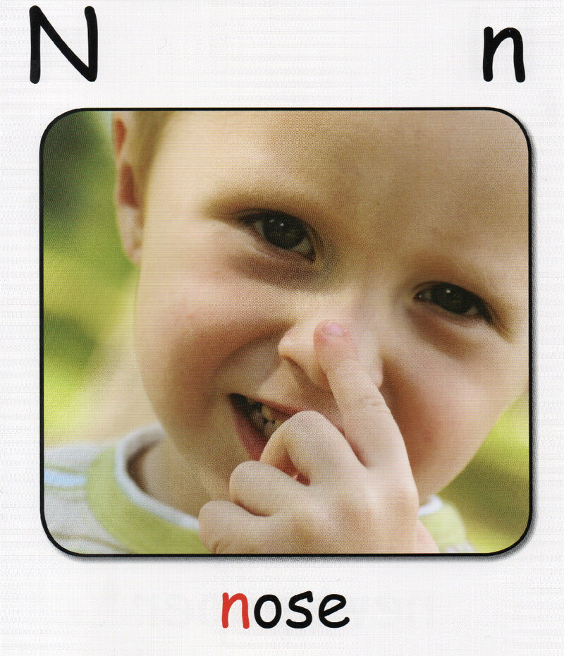 N绘本故事第5页