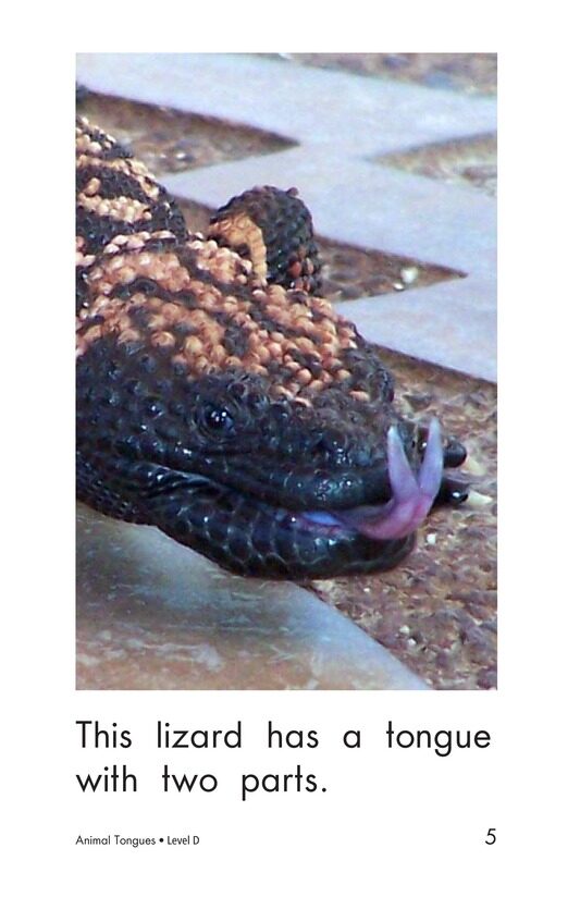 Animal Tongues绘本故事第5页