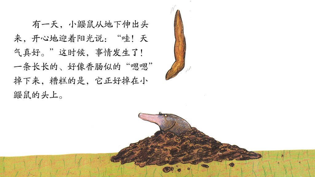 是谁嗯嗯在我的头上绘本故事第3页