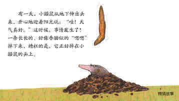 是谁嗯嗯在我的头上绘本故事第3页