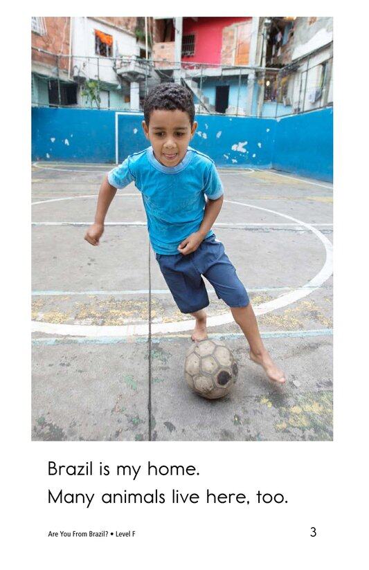 Are You From Brazil绘本故事第3页