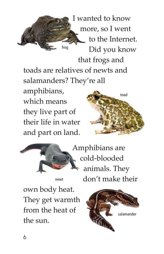 Frogs and Toads绘本故事第5页