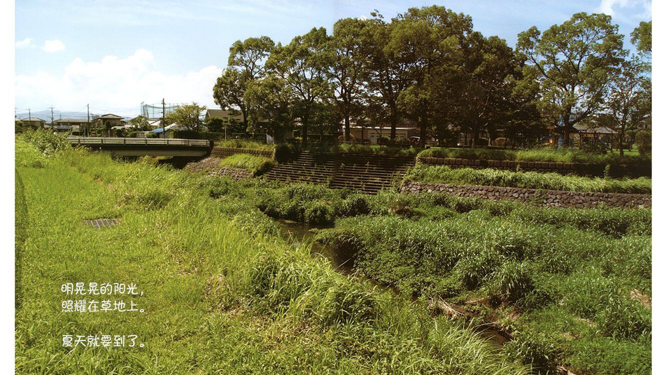 诞生了！蚱蜢绘本故事第3页