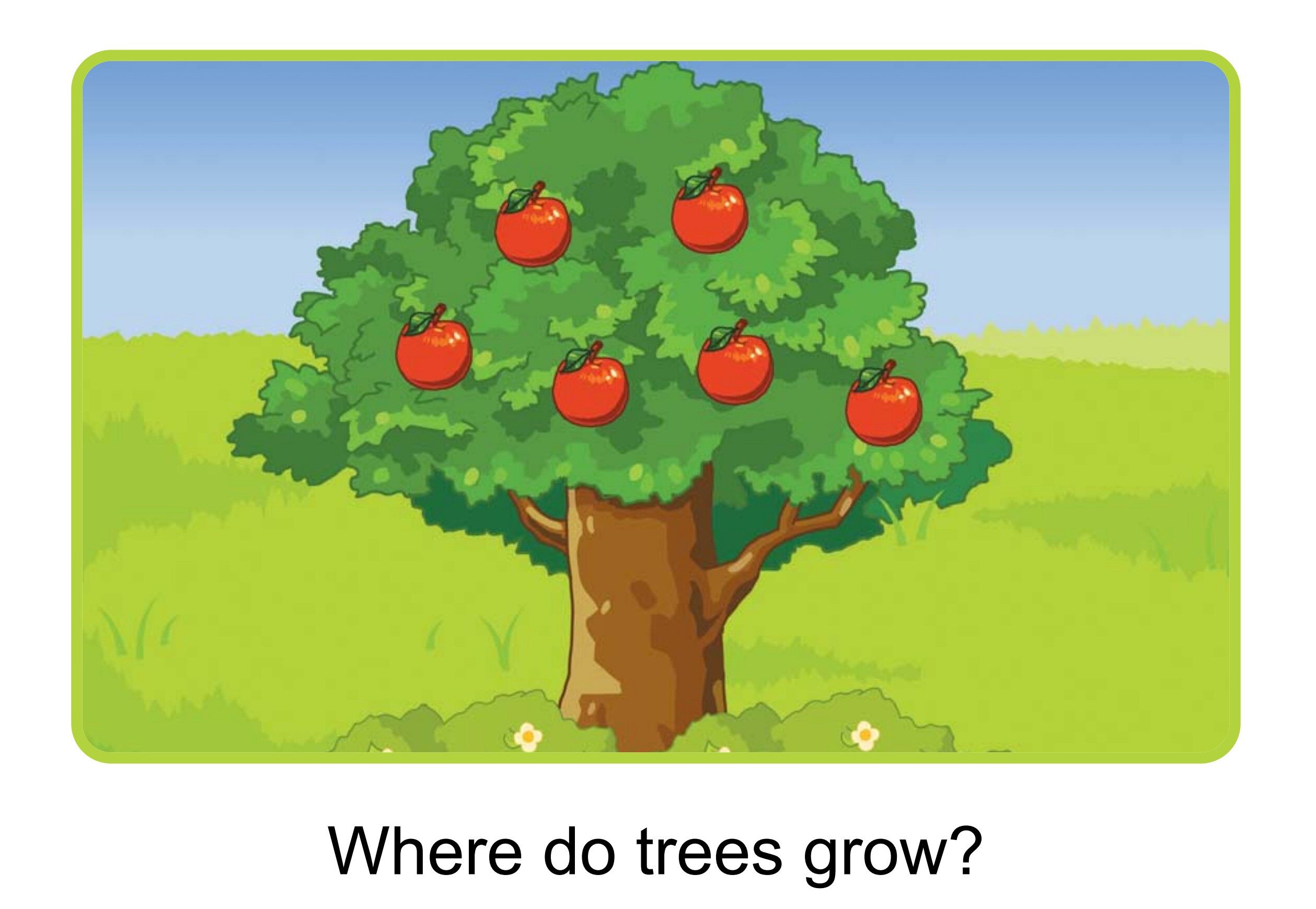 Where?绘本故事第4页