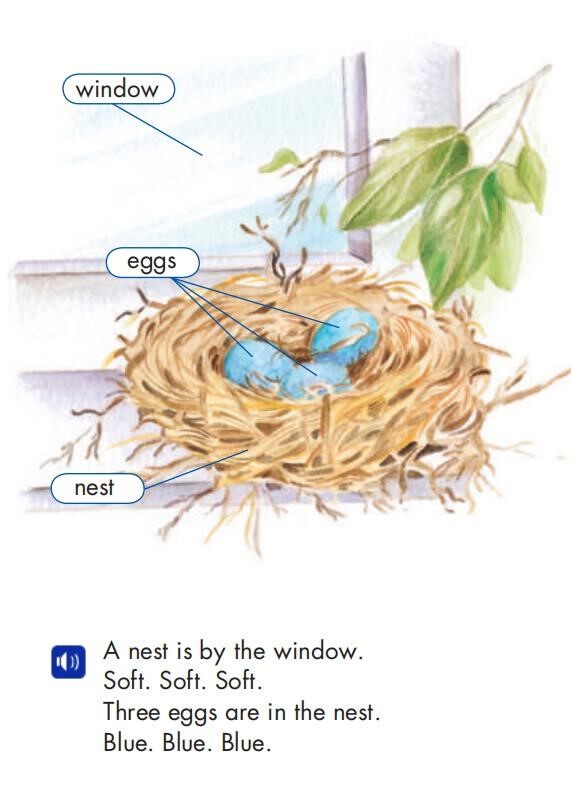 The Baby Robins绘本故事第3页