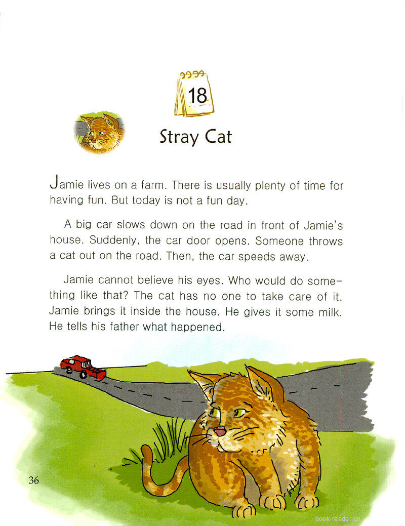 Stray Cat绘本故事第2页