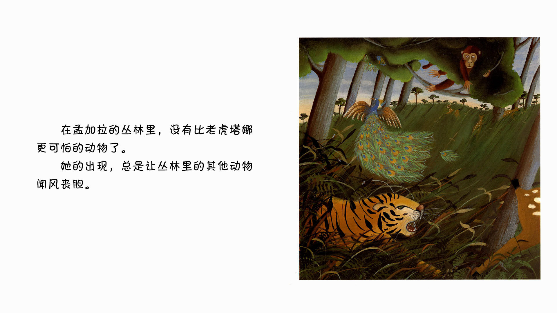 老虎   绘本故事第3页