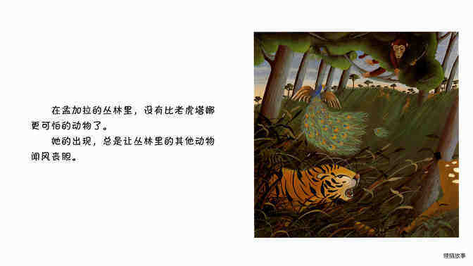 老虎   绘本故事第3页