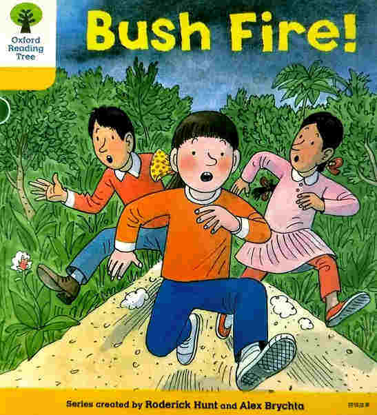 Bush Fire