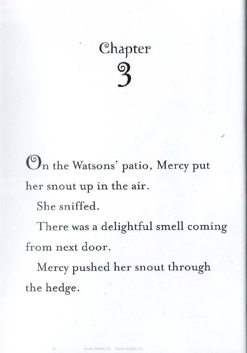 5-03 Mercy Watson Thinks Like a Pig绘本故事第2页