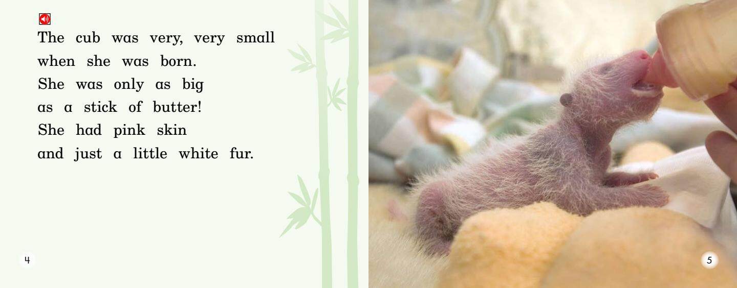 A Party for Panda绘本故事第4页