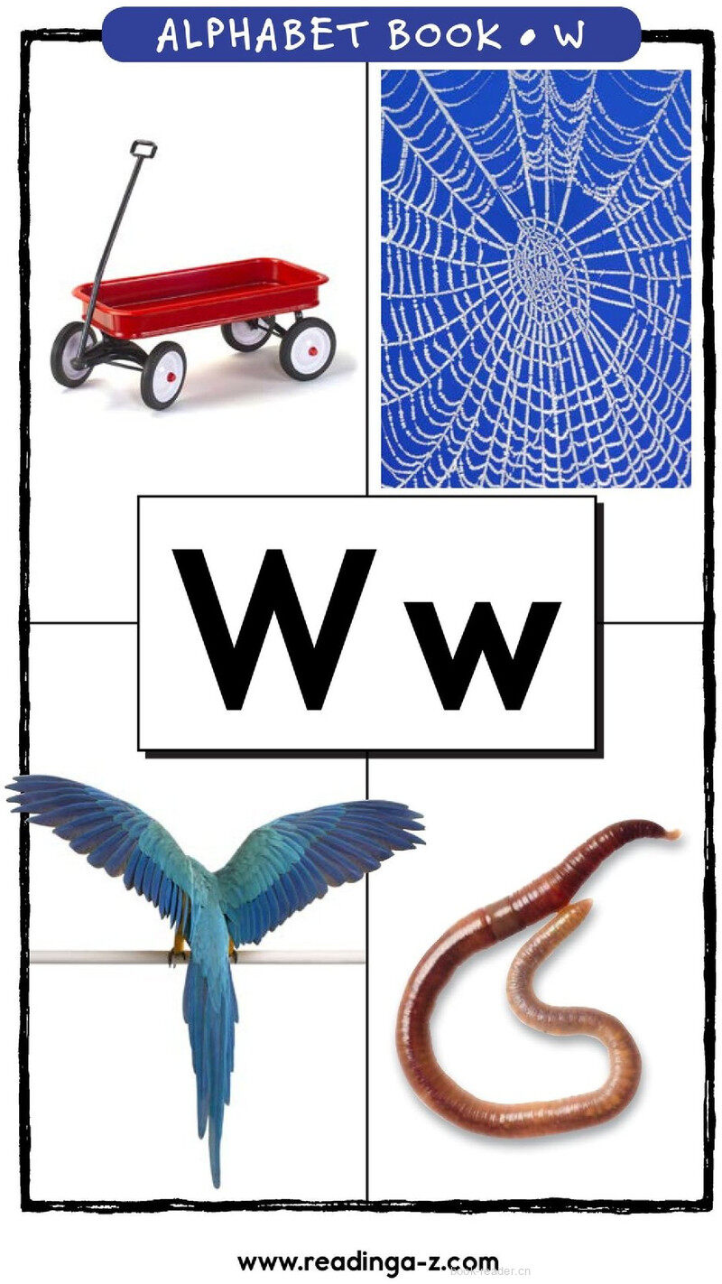 Letter W绘本故事第2页